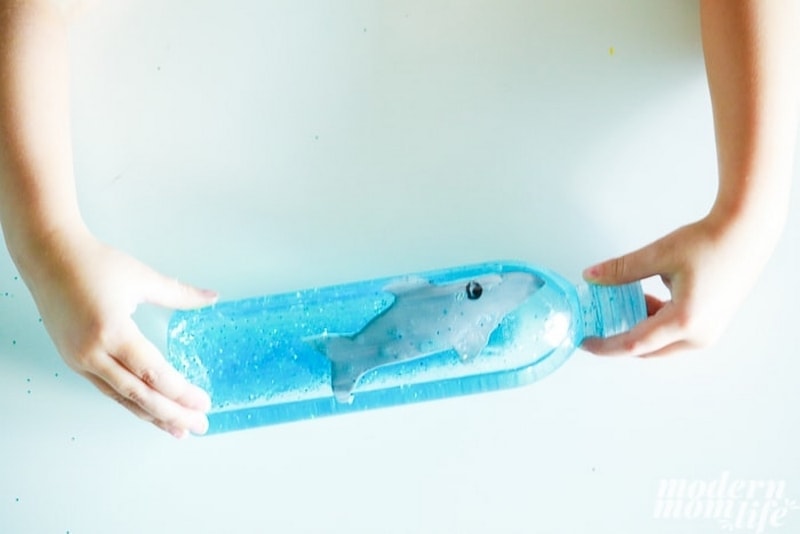 DIY shark sensory bottle ocean craft.